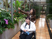 obr�zek (kliknut�m zvet��te)