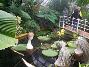 obr�zek (kliknut�m zvet��te)