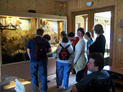 obr�zek (kliknut�m zvet��te)