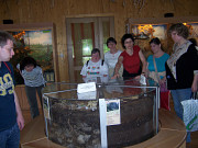 obr�zek (kliknut�m zvet��te)