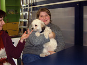 obr�zek (kliknut�m zvet��te)