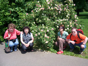 obr�zek (kliknut�m zvet��te)