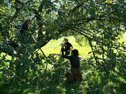 obr�zek (kliknut�m zvet��te)