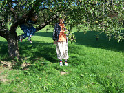 obr�zek (kliknut�m zvet��te)