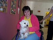 obr�zek (kliknut�m zvet��te)