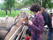 obrzek (kliknutm zvette)