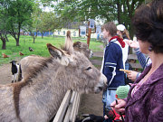 obrzek (kliknutm zvette)