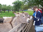 obrzek (kliknutm zvette)