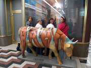 obr�zek (kliknut�m zvet��te)