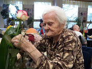 obr�zek (kliknut�m zvet��te)