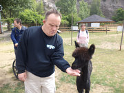 obr�zek (kliknut�m zvet��te)