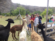 obr�zek (kliknut�m zvet��te)