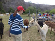 obr�zek (kliknut�m zvet��te)