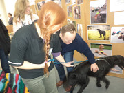 obr�zek (kliknut�m zvet��te)