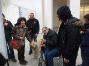 obr�zek (kliknut�m zvet��te)