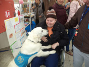 obr�zek (kliknut�m zvet��te)