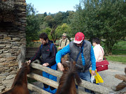 obr�zek (kliknut�m zvet��te)