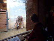 obr�zek (kliknut�m zvet��te)