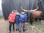 obr�zek (kliknut�m zvet��te)