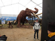 obr�zek (kliknut�m zvet��te)