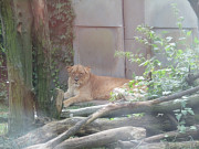 obr�zek (kliknut�m zvet��te)