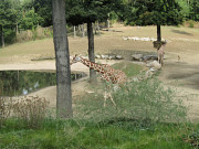 obr�zek (kliknut�m zvet��te)