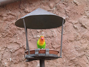 obr�zek (kliknut�m zvet��te)