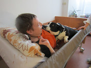 obr�zek (kliknut�m zvet��te)