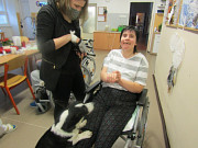 obr�zek (kliknut�m zvet��te)