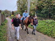 obr�zek (kliknut�m zvet��te)