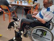 obr�zek (kliknut�m zvet��te)