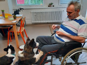 obr�zek (kliknut�m zvet��te)