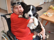 obr�zek (kliknut�m zvet��te)