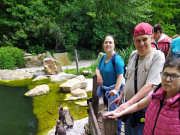 obr�zek (kliknut�m zvet��te)